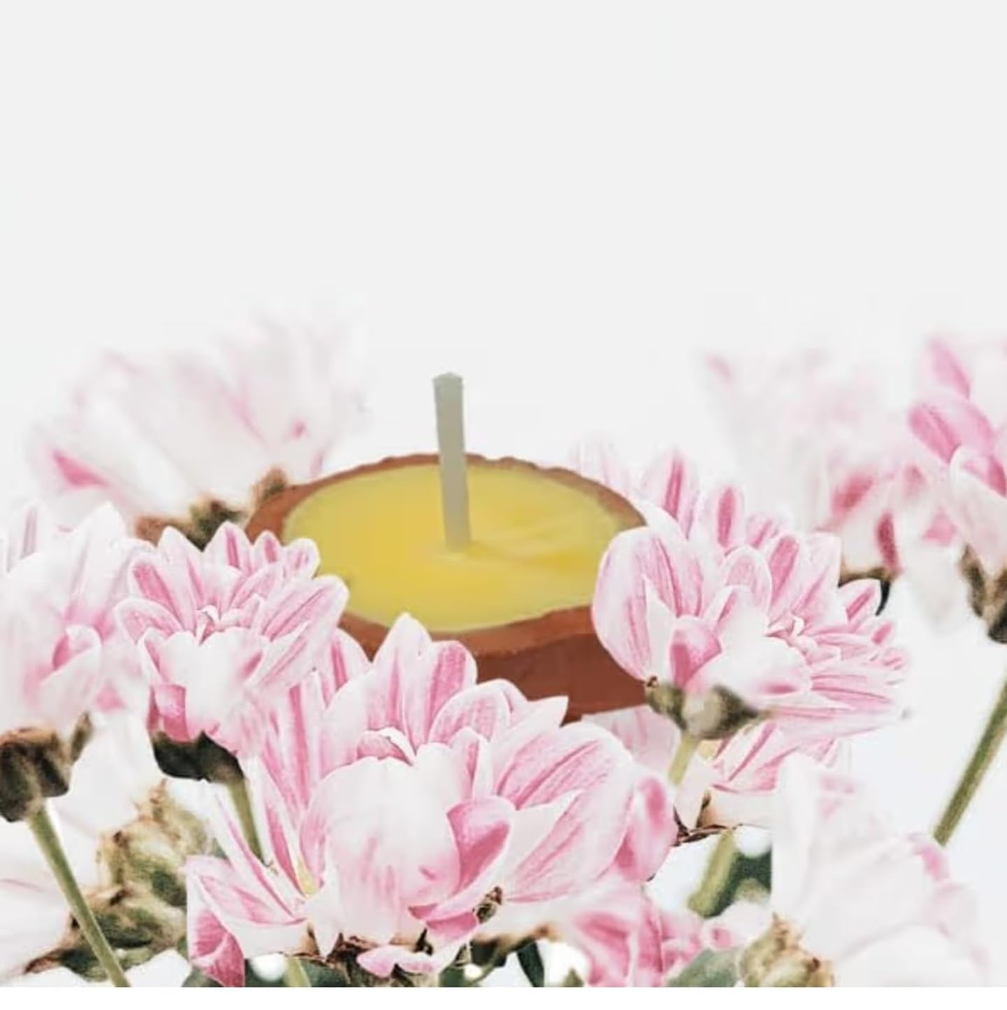 Pure Ghee Diya (Pack of 100)